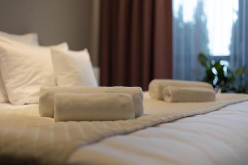 HOTEL ZOO - image 7