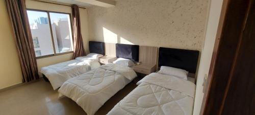 B&B Aqaba - Venice - Bed and Breakfast Aqaba