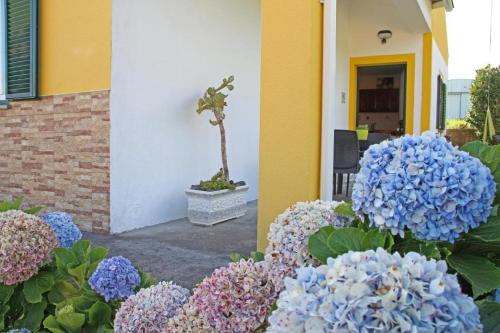 Casa da Boa Vista - image 3