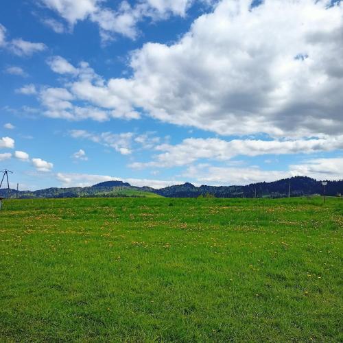 Domek u Stolarza Domek u Stolarza