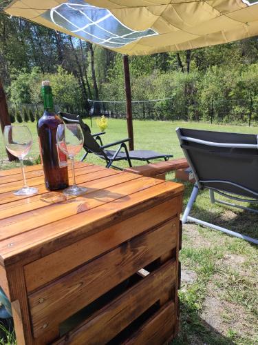 Roztocze, Domek Na Leśnym Wzgórzu nr2,Krasnobród,Zamość, Zwierzyniec, jacuzzi (Roztocze, Domek Na Lesnym Wzgorzu nr2,Krasnobrod,Zamosc, Zwierzyniec, jacuzzi) in Jacnia