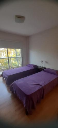 departamento calle 24
