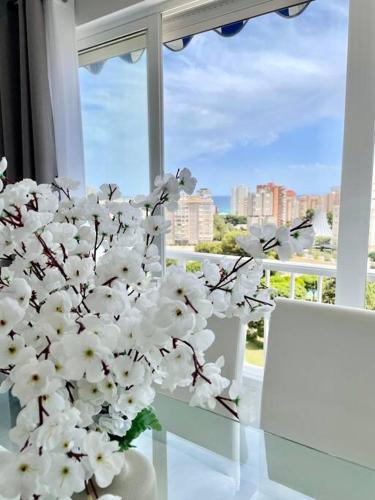 Apartamento familiar en Playa de San Juan