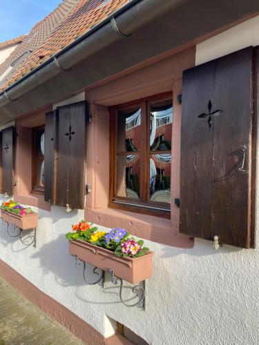 外部景觀, Mein MINI-HAUS - 2 Zimmer - Smart-TV - Stein & Holz in 郊區