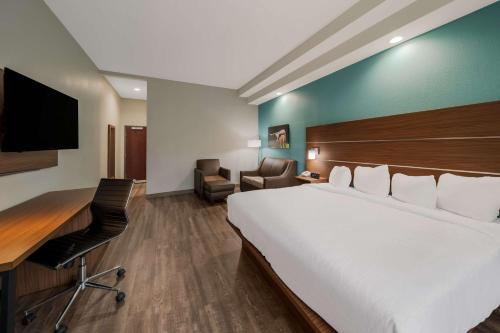 Best Western Bowie Inn & Suites - image 11