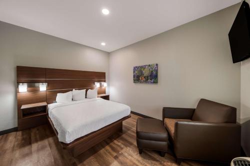 Best Western Bowie Inn & Suites - image 3