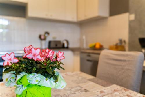 Two-Bedroom Apartment with Terrace image 3
