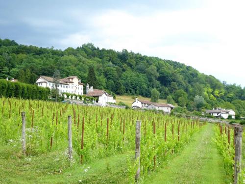  Villa in Valbelluna with Pool & Dolomite Views in Santa Giustina