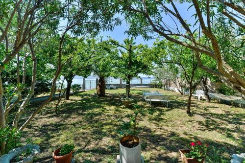 Family friendly seaside apartments Sukosan Zadar - 6133 - image 12