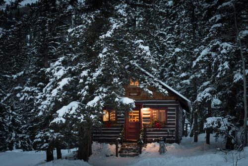 Pioneer Guest Cabins - image 8