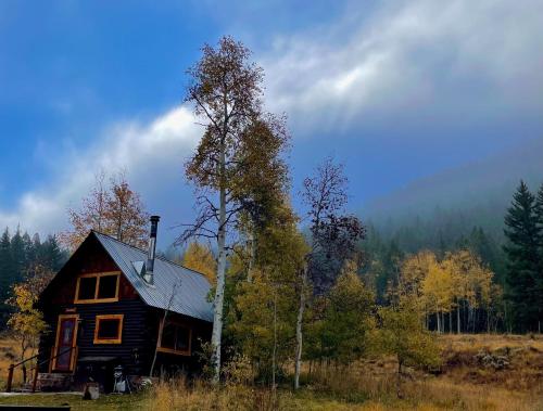 Pioneer Guest Cabins - image 14