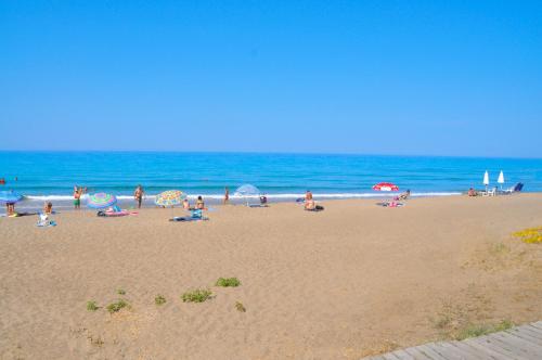  Holiday Apartment yannis on the beach of Agios Gordios in Corfu in Agios Gordios