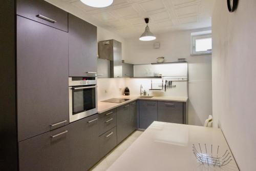 Apartmán u Berounky (Apartman u Berounky) in بيرون