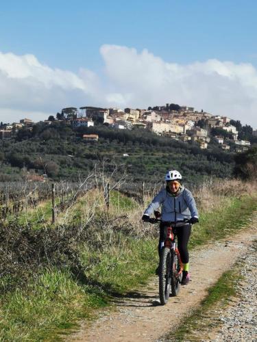 Le Scuderie App 6 ottimo trilocale con WI FI