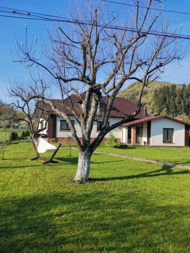 Chalet Bora - image 5