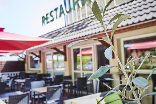 Logis Bagatelle - 51530 Dizy - image 8