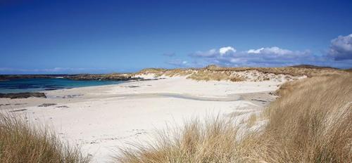 Stylish 2 bed flat at Camber Sands, Camber (fotografie 10)