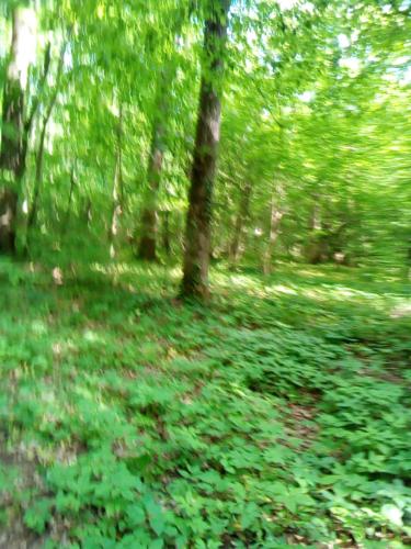 Schones Feriendomizil in Loosdorf in Loosdorf