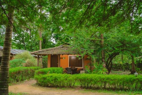 Nature's Nest Eco Resort Goa, Near Dudhsagar Waterfalls