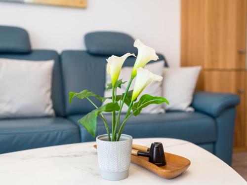 Apartment B1014 by Interhome, Lahnstein (fotografie 8)