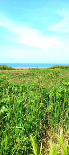 Camping Les Ronds Duval face aux îles anglo-normandes