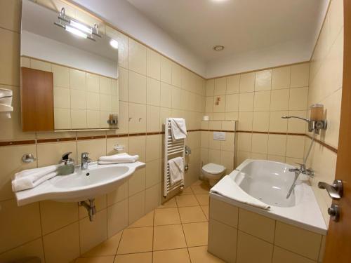 Hotel MAGISTR Vsetín - image 8