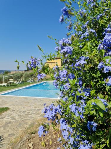 Fattoria di Maiano - Accommodation - Fiesole