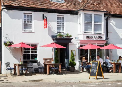 Pohled zvenku, The Red Lion in Odiham
