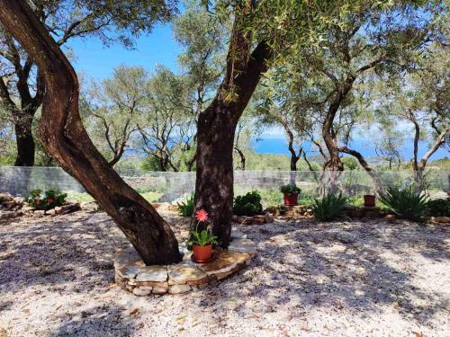  Villa Olive Garden, Kastanida - Paxoi in Gaios