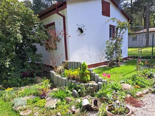 gemütlicher Bungalow am Rand der Dübener Heide in Zschepplin, Deutschland