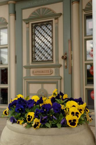 Apfelblüte bed & breakfast 8 km vom Bodensee, Salem (fotografie 3)