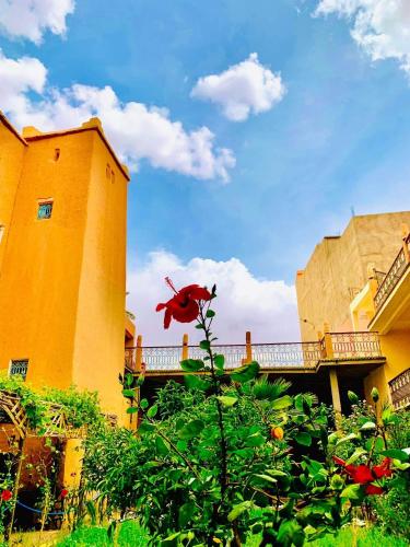 卡斯巴餐厅酒店 卡斯巴餐厅酒店