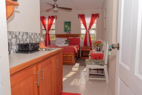 Edtricica Apartment in Christ Church