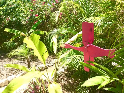 CAMP AKUMAL - Hosted Family Bungalows in Akumal, Mexico