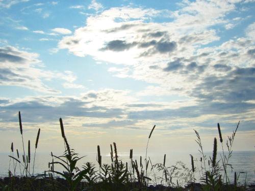 Holiday home Laukvik III