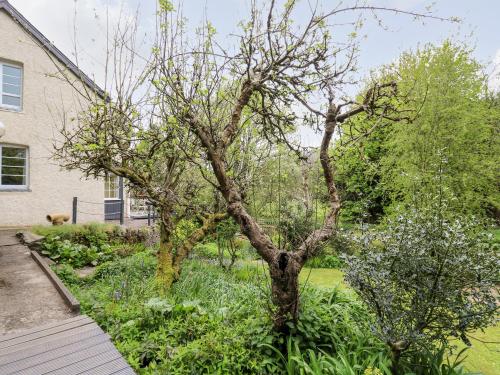 ทัศนียภาพภายนอกโรงแรม, Myrtle Villa in นิคตัน