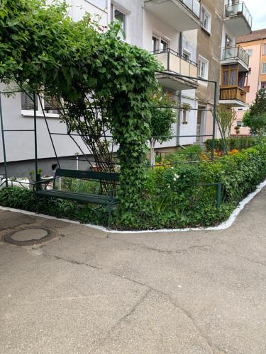 ทัศนียภาพ, Cazare Medias, apartament modern in เมดาส