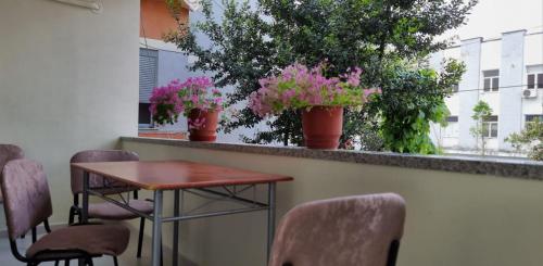 Berat Apartment AAA, Berat (fotografie 9)