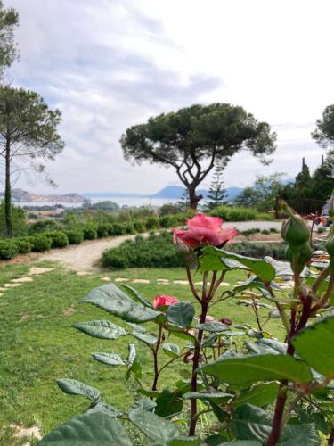  The Bee House in San Giovanni