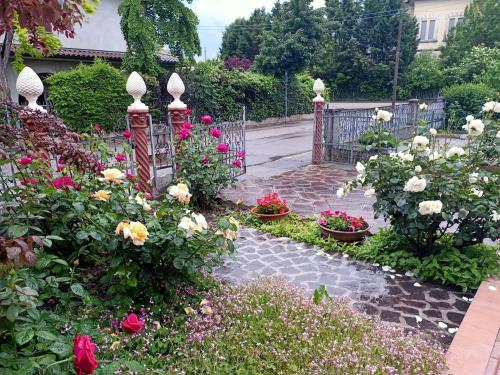 Skats, LILY - STORIE DEL BOSCO - in San Felice Sul Panaro
