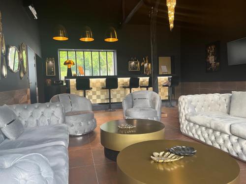 Pub/Lounge, Domaine Pierre Monnaie in Verzy