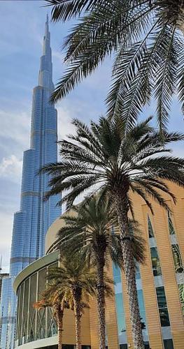 Suitestay Address Dubai Mall Residence, Dubai (Foto 5)