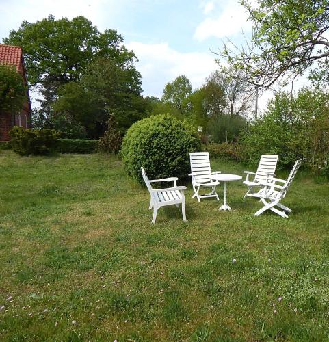 花園, LANDHAUS LAAVE FERIENWOHNUNG in 菲蘭克