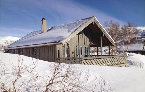 Viesnīcas āriene, Holiday Home Vinje Skjærdalen in Vagsli