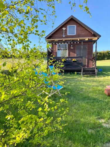 Domek pod brzozami in Brodnica Gorna