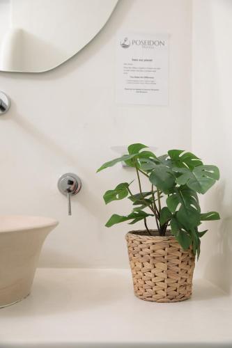 Naxos Hotel Poseidon - image 8