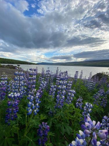 Sports and activities, Hengifosslodge Tiny Houses in Egilsstadir