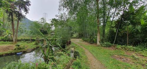 Surrounding environment, Man Homestay - Luc Yen Homestay and Tour in Da Chang