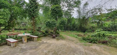 Surrounding environment, Man Homestay - Luc Yen Homestay and Tour in Da Chang