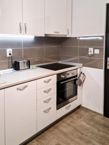 Apartament Alina - main image
